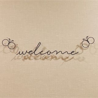 ワイヤーレタリング▪️手書き風 welcome & 蝶々2匹set *(インテリア雑貨)