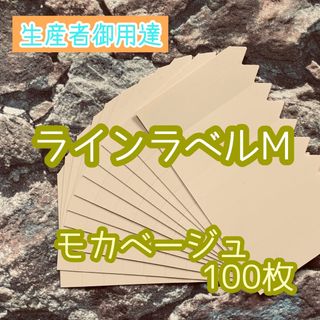 ラインラベル 中 茶 100枚 園芸カラーラベル 多肉植物 エケベリア(プランター)