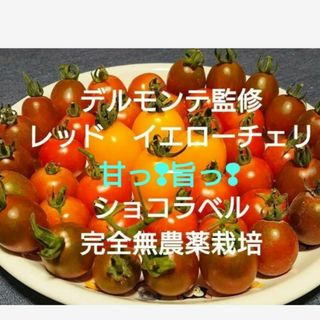 デルモンテ監修　レッド　イエローチェリートマト　ショコラベル　完全無農薬栽培(野菜)