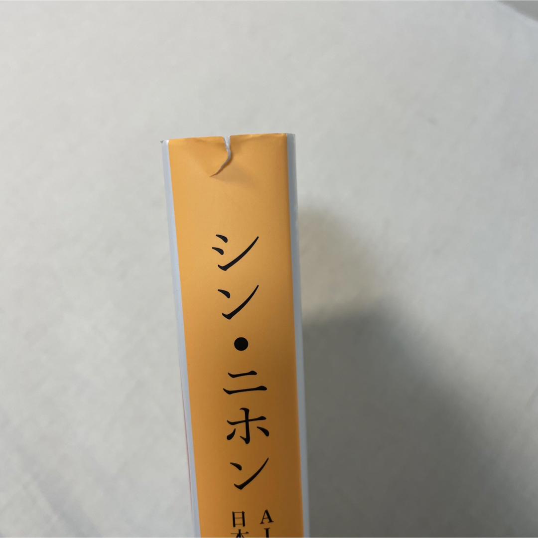 値下げ！シン・ニホン ＡＩ×データ時代における日本の再生と人材育成 エンタメ/ホビーの本(その他)の商品写真