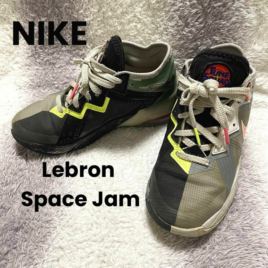 s145g NIKE レブロン スペースジャム スニーカー バッグスvsマービン | フリマアプリ ラクマ