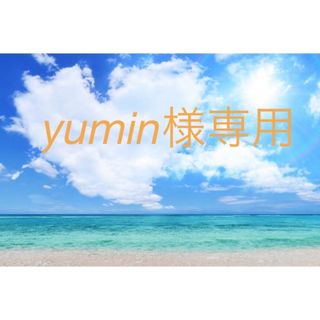 yumin様専用(チャーム)