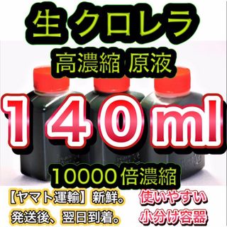 【高濃縮】生クロレラ原液１４０ 稚魚 めだか メダカ psb 金魚 熱帯魚(アクアリウム)