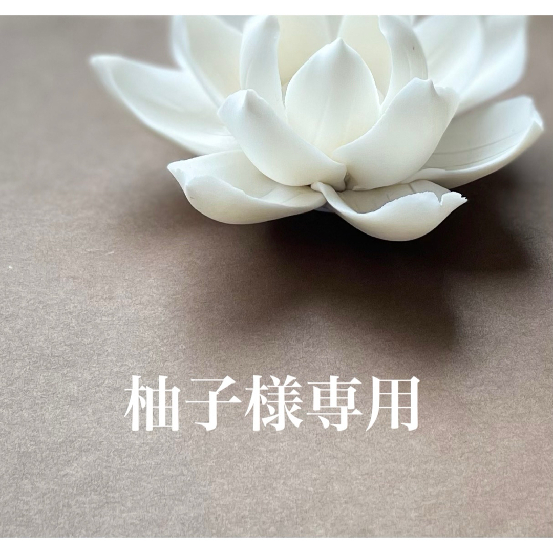 輸送箱未開封☆ネオブライス スリサステナブル 輸送箱未開封☆ネオブライス スリサステナブル