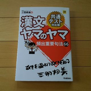 漢文ヤマのヤマ　東進ハイスクール　三羽邦美著(語学/参考書)