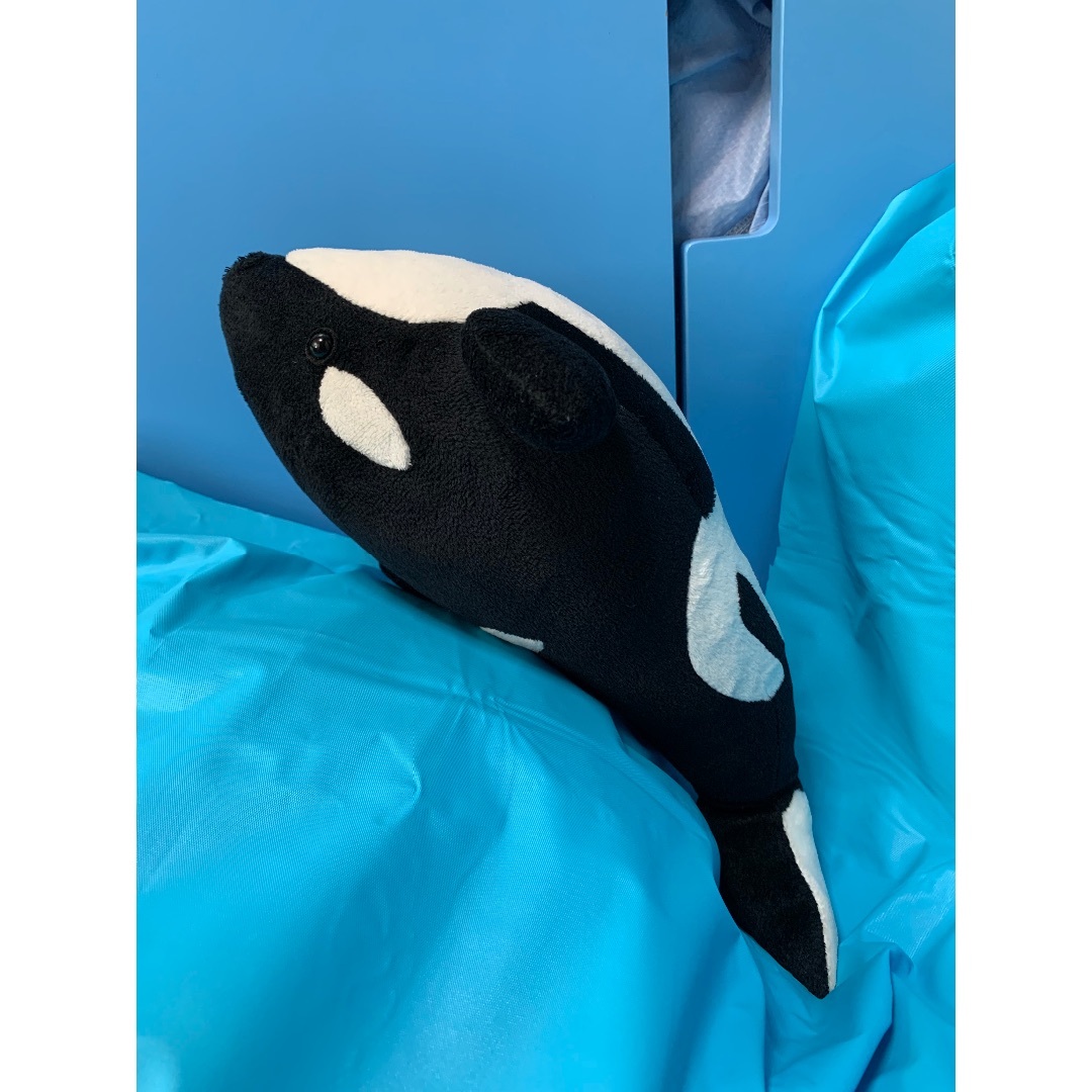 最後の出品です⁺˳✧༚名古屋港水族館シャチのクーちゃん₊⁎⁎ ☆ | www