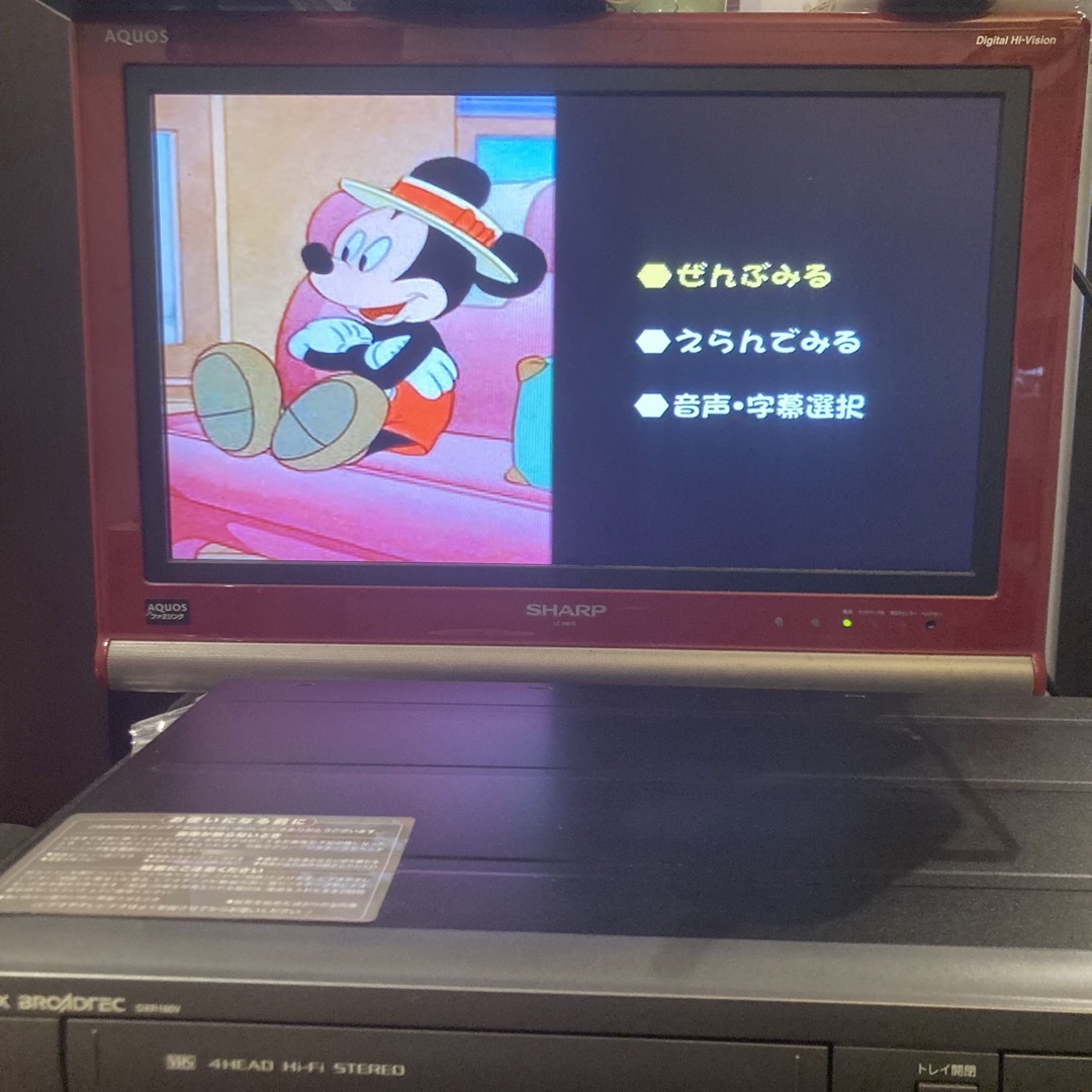 DX ANTENNA  地デジ対応 ボタン1つでVHSダビング