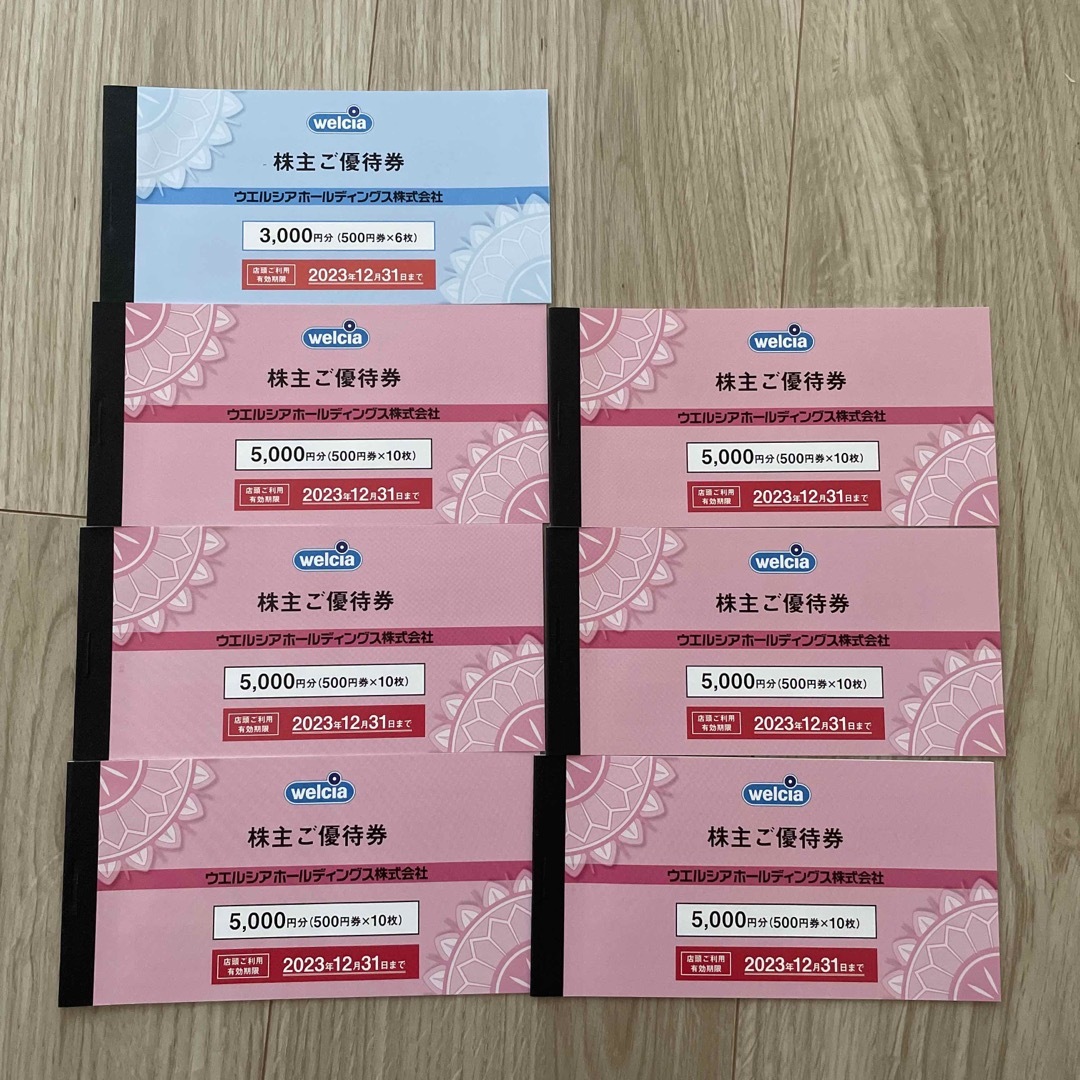 ウェルシア 株主優待 33000円 | www.rasyomed.com.tr