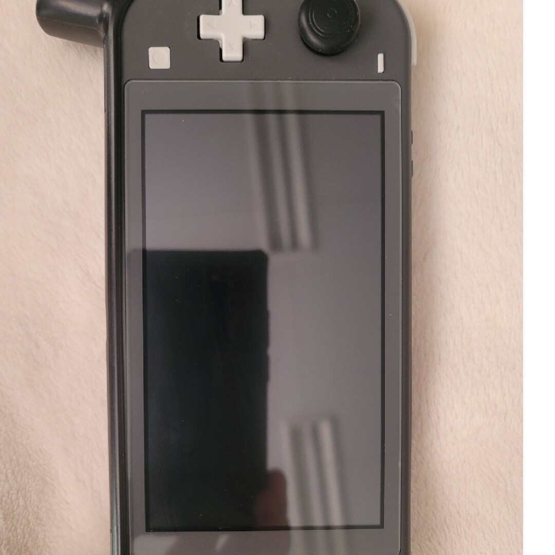 Nintendo Switch - Nintendo Switchライト本体 ポケモンバイオレット