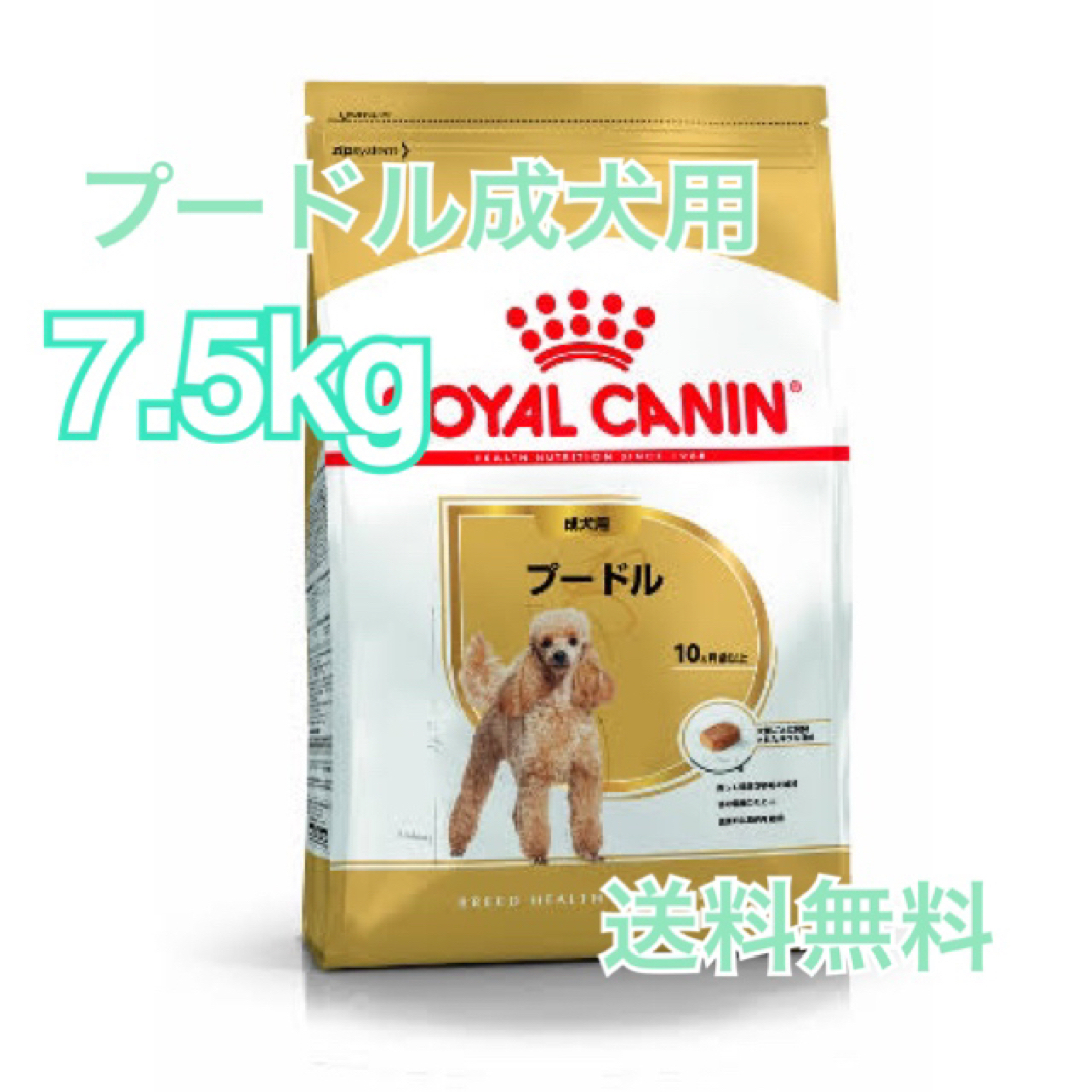 クーポン配布中交換無料 【ロイヤルカナン】 プードル専用フード 成犬