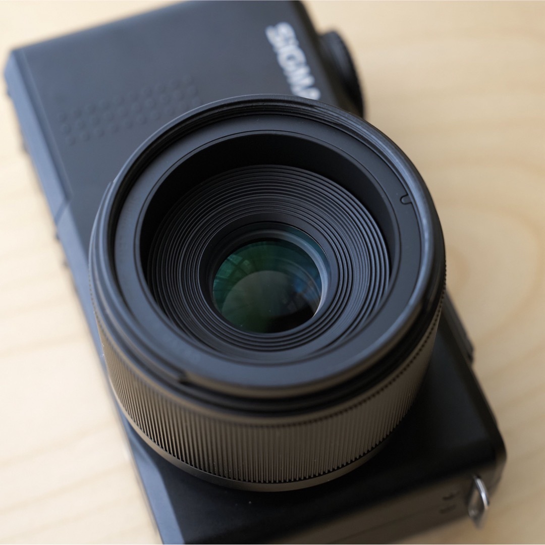 【良〜美品】SIGMA MERRILL DP3