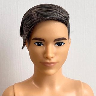 バービー(Barbie)の【 Barbie バービー ファッショニスタ  ケン 人形 】(その他)