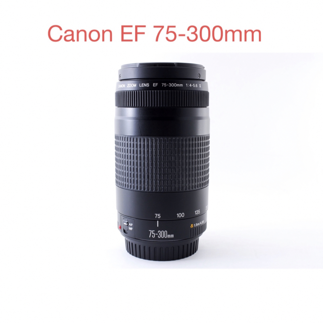 Canon - 超望遠レンズ キャノン Canon EF 75-300mmの通販 by