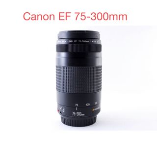 キヤノン(Canon)の超望遠レンズ　キャノン  Canon EF 75-300mm(レンズ(ズーム))