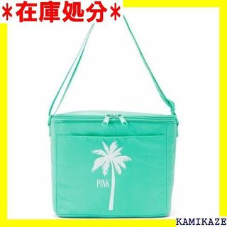 ☆送料無料 Victorias Secret ヴィクトリア e Bag 1528(その他)