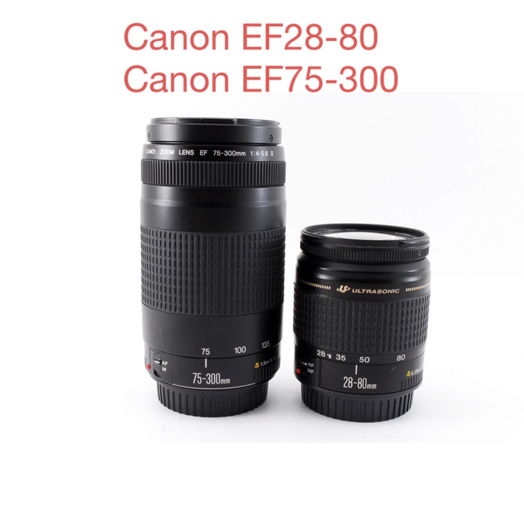 Canon EF28-80☆Canon EF75-300☆標準&望遠レンズセット