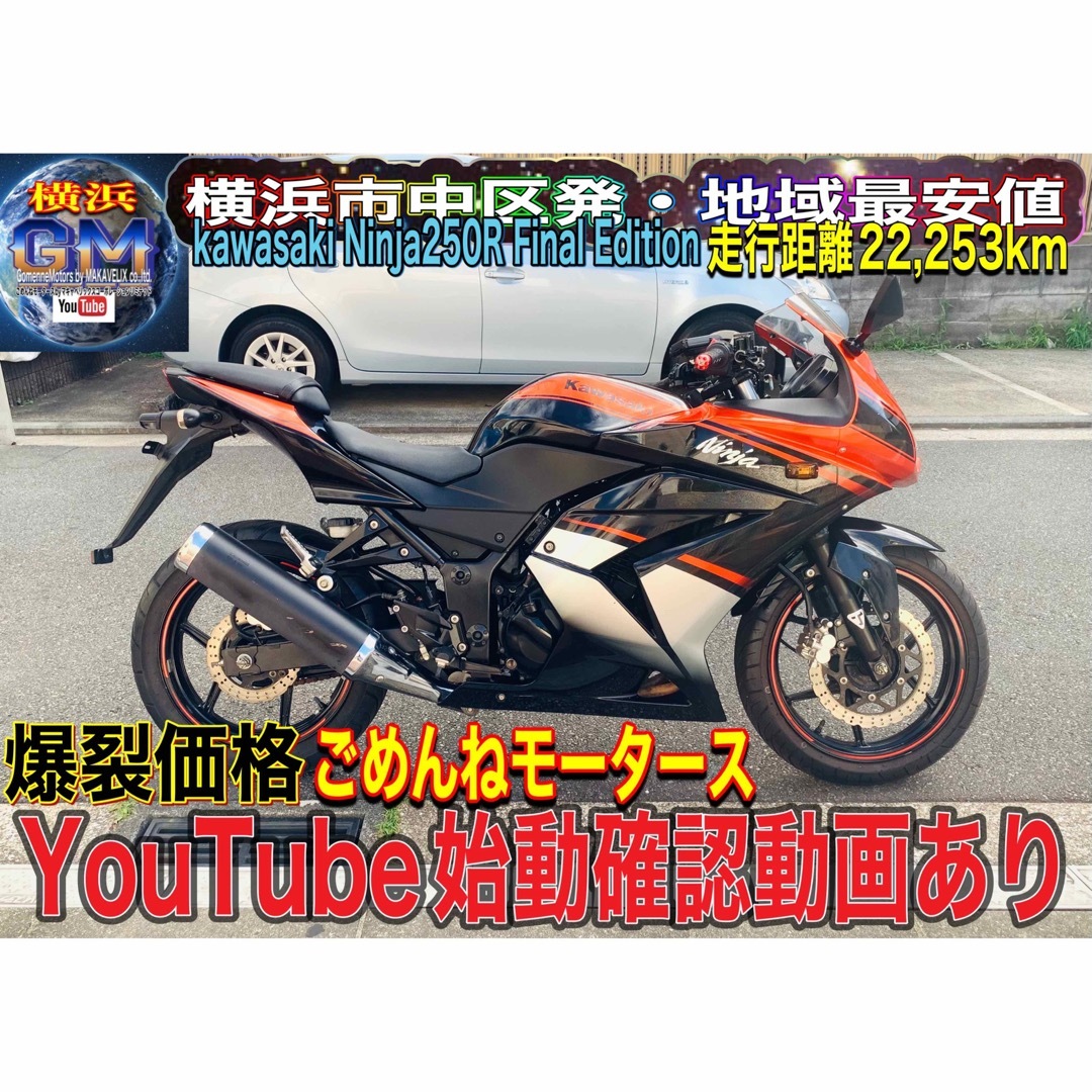 ニンジャ250R(kawasaki)ファイナルエディション♫高級爆裂な一台^_^