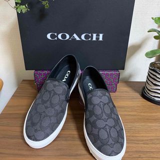 COACH - COACH  シグネチャー シューズ C115 SIG C LTHR