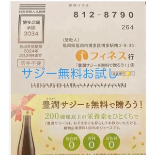 豊潤サジー 10日分 300ml お試し！(その他)