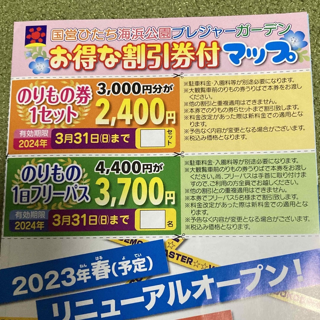 ひたち海浜公園パスポート  3枚