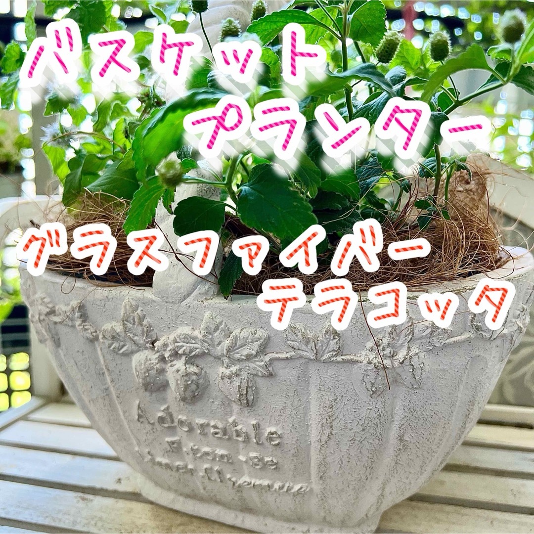 フレーズバスケットプランター　グラスファイバー　鉢　今回のみ　寄せ植え ハンドメイドのフラワー/ガーデン(プランター)の商品写真