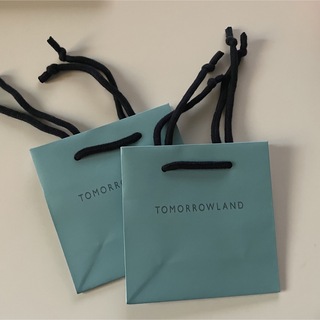 トゥモローランド(TOMORROWLAND)のtomorrowland 紙袋　2枚　ショッパー(ショップ袋)