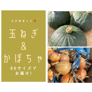 玉ねぎとかぼちゃのコラボセット‼️(野菜)