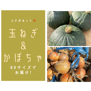 かぼちゃと玉ねぎのコラボセット‼️(野菜)