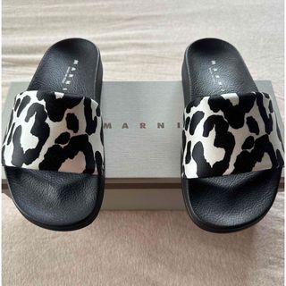 マルニ(Marni)の37新品 MARNI マルニ レディース レオパード サテン サンダル 23.5(サンダル)