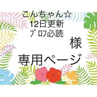 スヌーピー(SNOOPY)のこんちゃん☆12日更新ﾌﾟﾛﾌ必読様(その他)