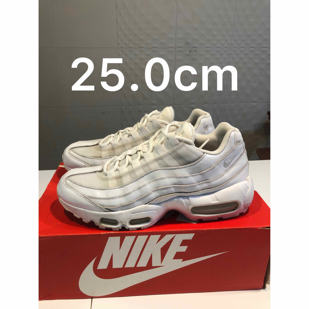 【25.0cm】NIKE AIRMAX95