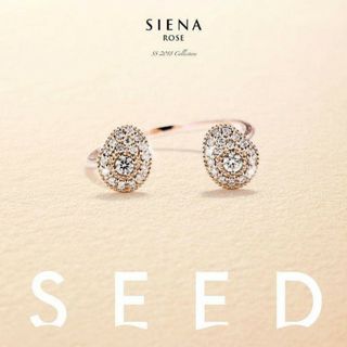 シエナロゼ(SIENA ROSE)の【SIENA ROSE】SEEDリング13号(リング(指輪))