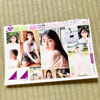 シュウエイシャ(集英社)の2022年  週刊ヤングジャンプ29 乃木坂46 特製グラビアステッカー 川崎桜(女性タレント)