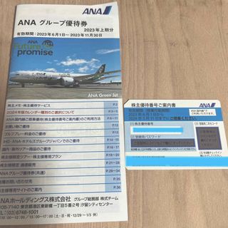 エーエヌエー(ゼンニッポンクウユ)(ANA(全日本空輸))の 専用ページ  ANA 株主優待券 1枚 優待券付き(その他)