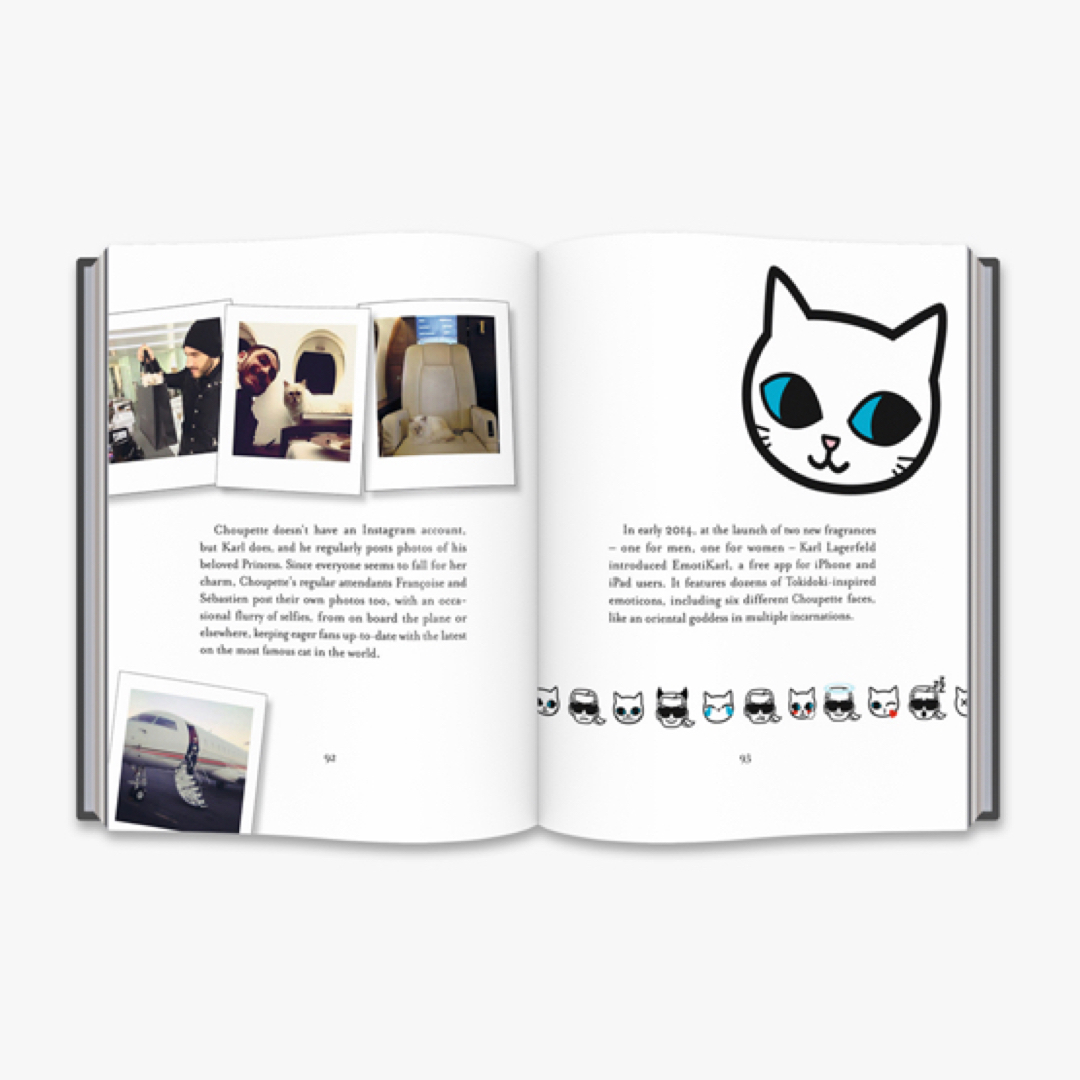 Karl Lagerfeld(カールラガーフェルド)のChoupette: The Private Life／ Fashion Cat エンタメ/ホビーの本(ファッション/美容)の商品写真