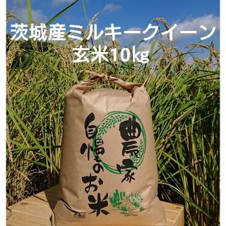 茨城令和4年産ミルキークイーン玄米10kg(米/穀物)