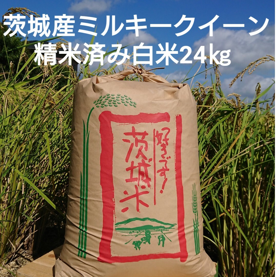 茨城令和4年産ミルキークイーン白米24kgkg　米/穀物