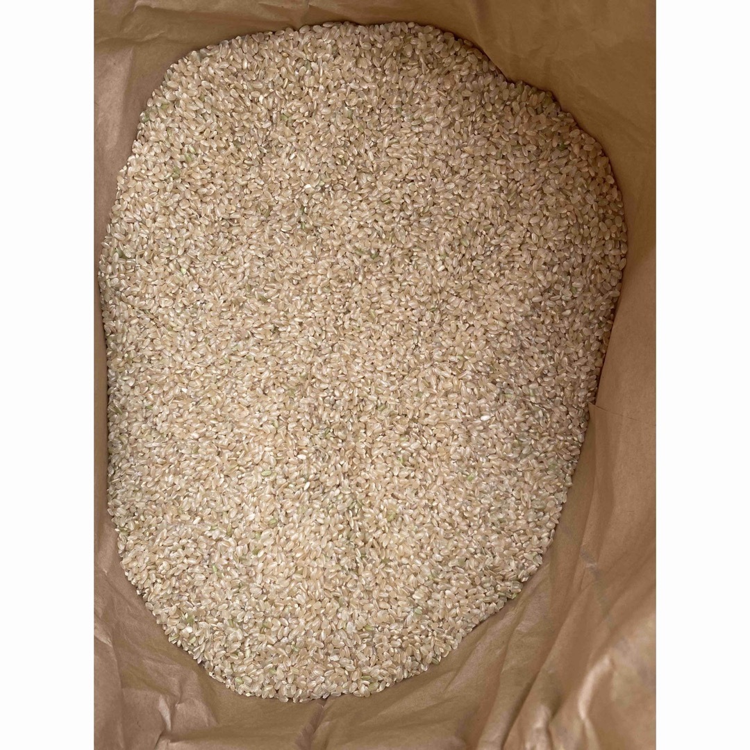 令和4年茨城県産玄米20kg