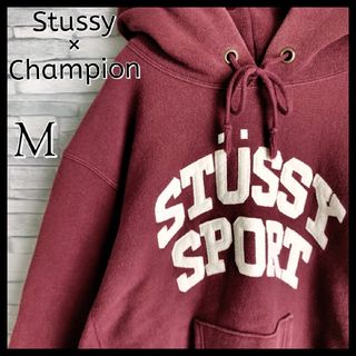 stussy Champion コラボ リバースウィーブ パイルロゴ フーディー