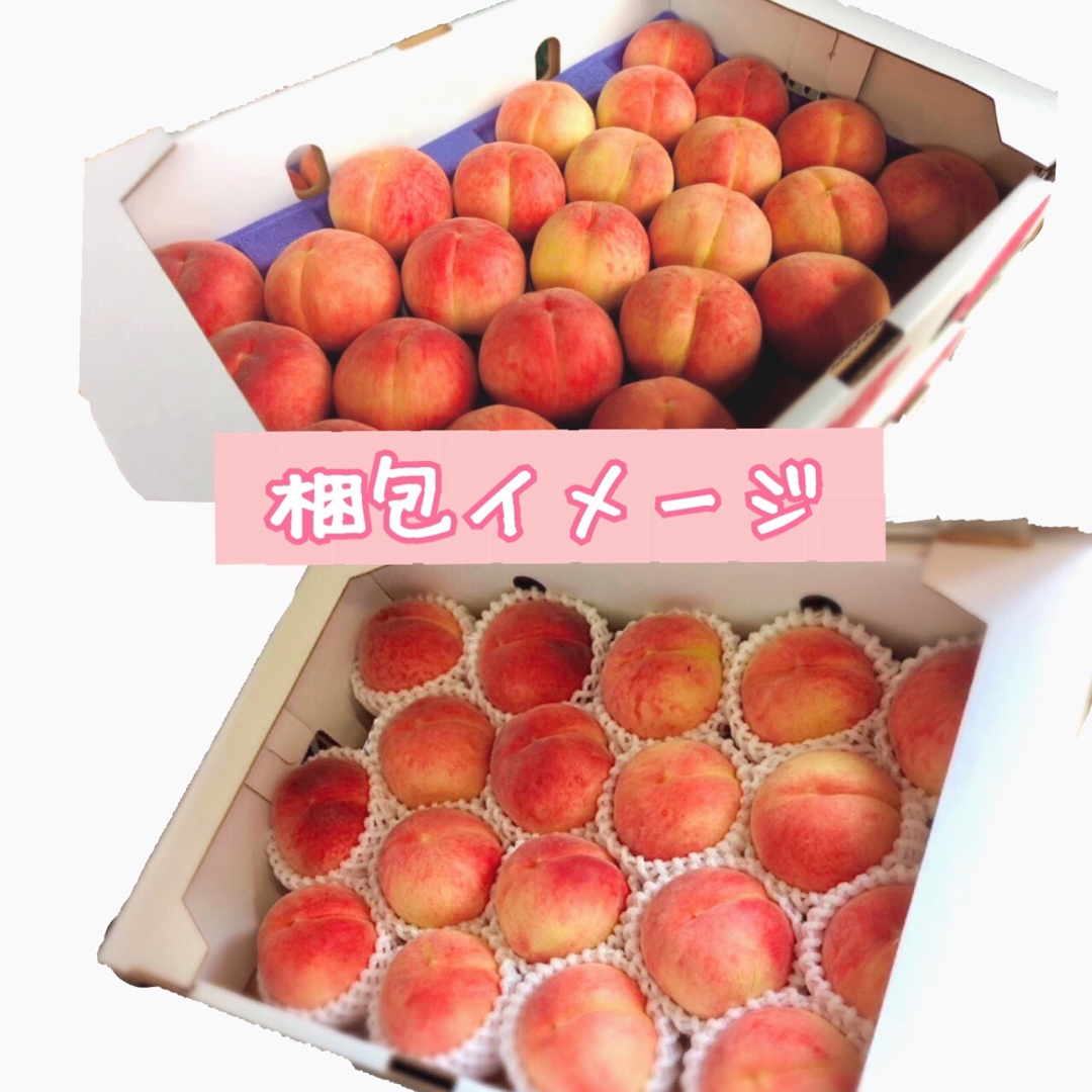 【本日限定!聖光勝利記念セール!】川中島桃 5kgセット 12-18pcs