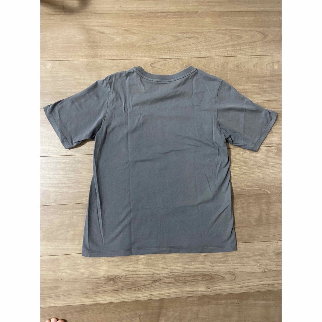 PAUL & JOE(ポールアンドジョー)のPaul &Joe レディースTシャツ Mサイズ レディースのトップス(Tシャツ(半袖/袖なし))の商品写真