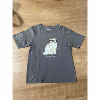 ポールアンドジョー(PAUL & JOE)のPaul &Joe レディースTシャツ Mサイズ(Tシャツ(半袖/袖なし))