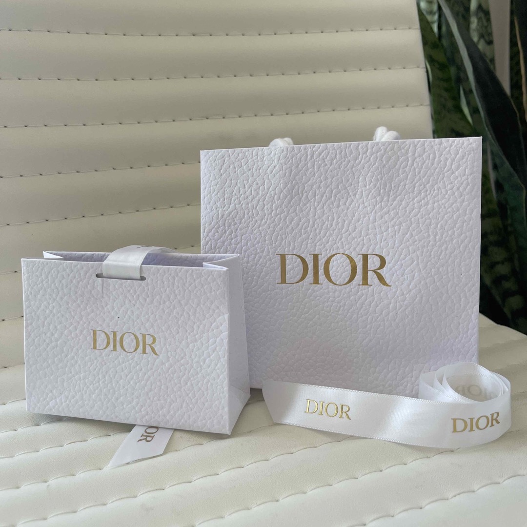 Dior(ディオール)のDIORショッピングバッグ その他のその他(その他)の商品写真