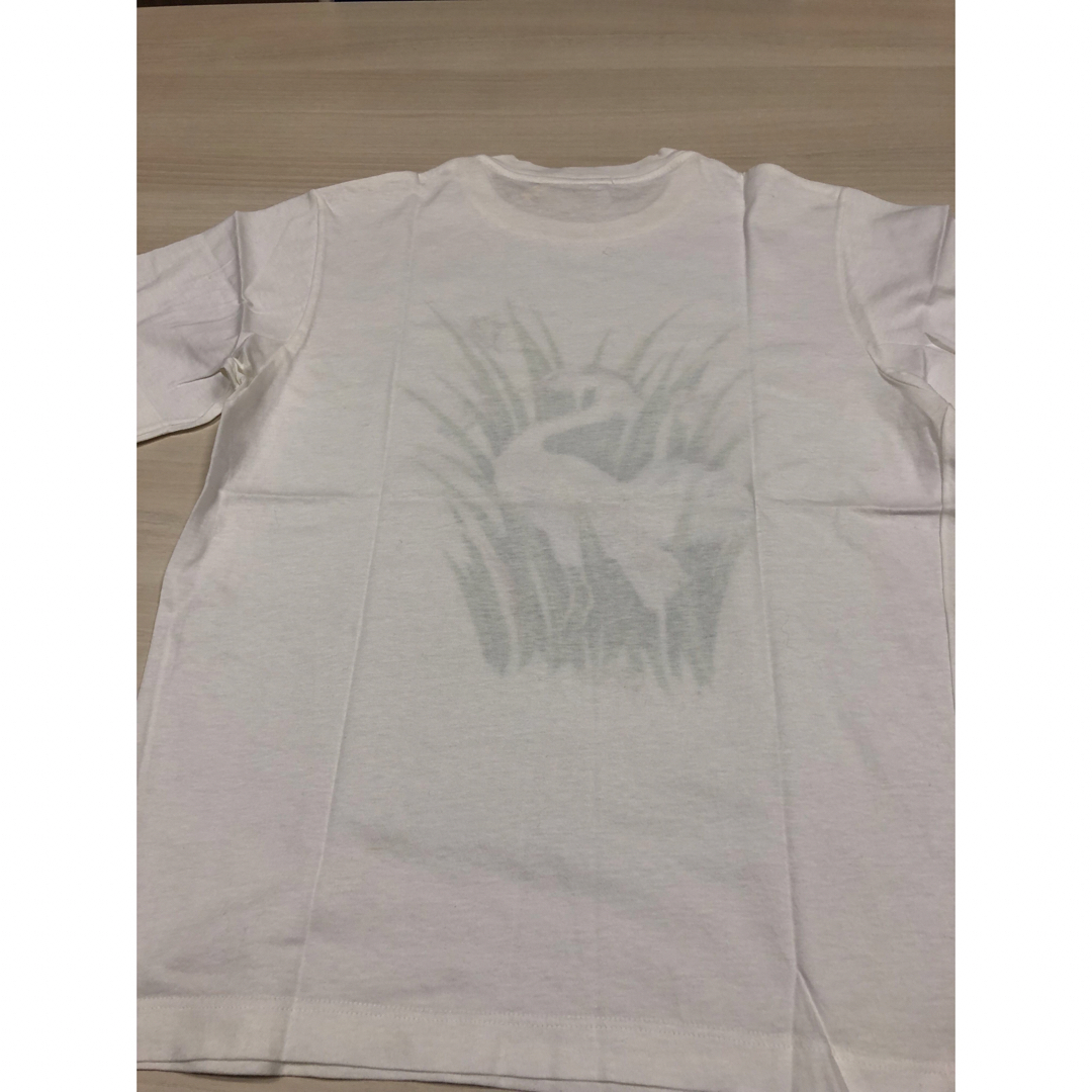 Salvatore Ferragamo(サルヴァトーレフェラガモ)のフェラガモ Tシャツ レディースのトップス(Tシャツ(半袖/袖なし))の商品写真