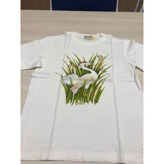 サルヴァトーレフェラガモ(Salvatore Ferragamo)のフェラガモ Tシャツ(Tシャツ(半袖/袖なし))