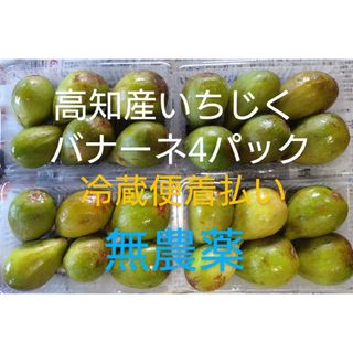 高知産イチジク【バナーネ】4パック 糖度が高く美味しい 無農薬の通販 ... 10kg高知県産次郎柿 完全無農薬無消毒