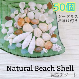 貝殻アソート　貝がら　シェル　天然素材　夏休み　工作　ハンドメイド　海(各種パーツ)