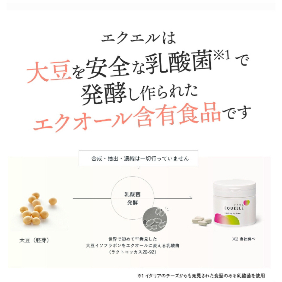 【2袋】エクエル パウチ 120粒 大塚製薬 3