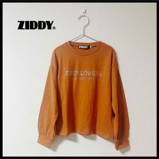 ジディー(ZIDDY)の【ZIDDY】ジディ　ロゴストーンTシャツ　１３０ｃｍ(Tシャツ/カットソー)