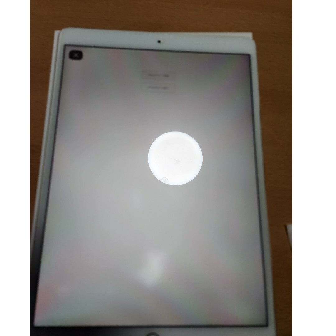 ipad pro 10.5 256GB